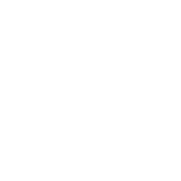 Digic Pictures logo