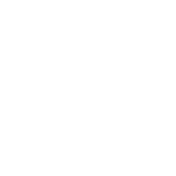 Digital Eclipse logo