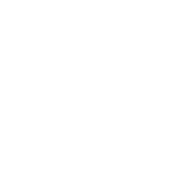 Flying Bark Sydney & Madrid logo