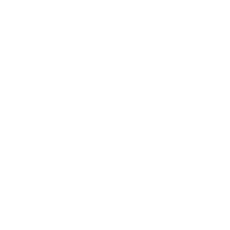 Megalis VFX logo