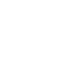 People Can Fly logo