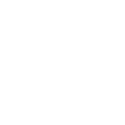 Rodeo FX logo