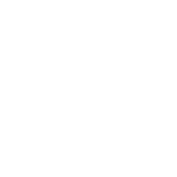 Turtle Rock Studios logo